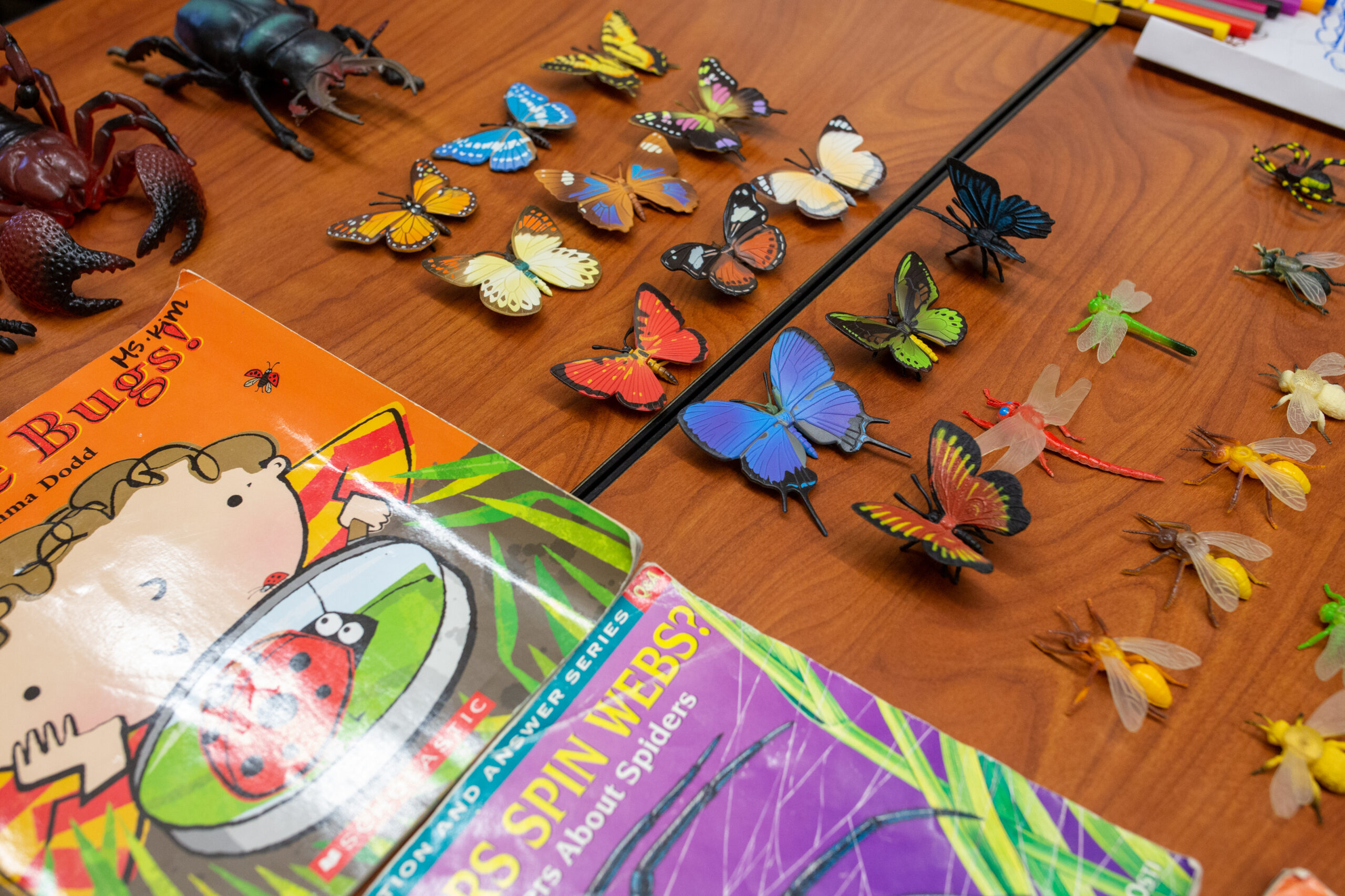 toy butterflies and books on table