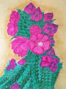 Rachel Jenkins pastel drawing of a hedgehog cactus.