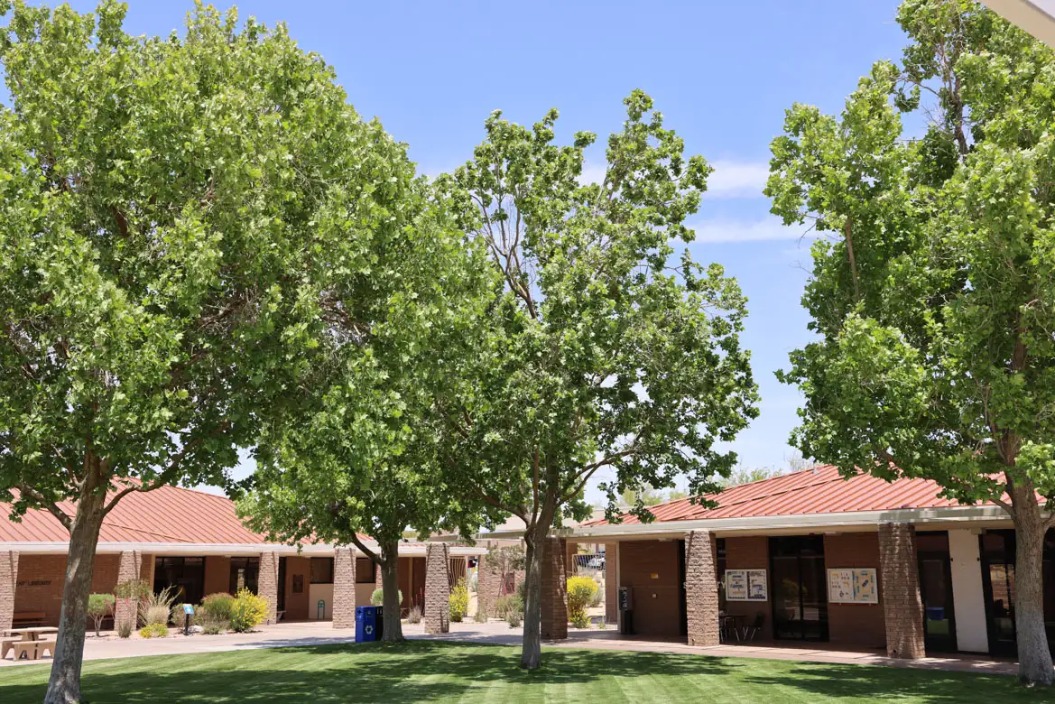 beautiful green trees in the center of the copper mountain college campus