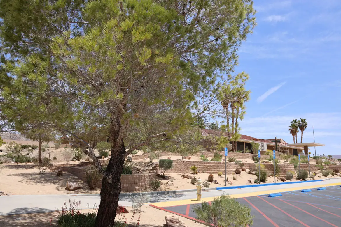 view of the copper mountain college campus