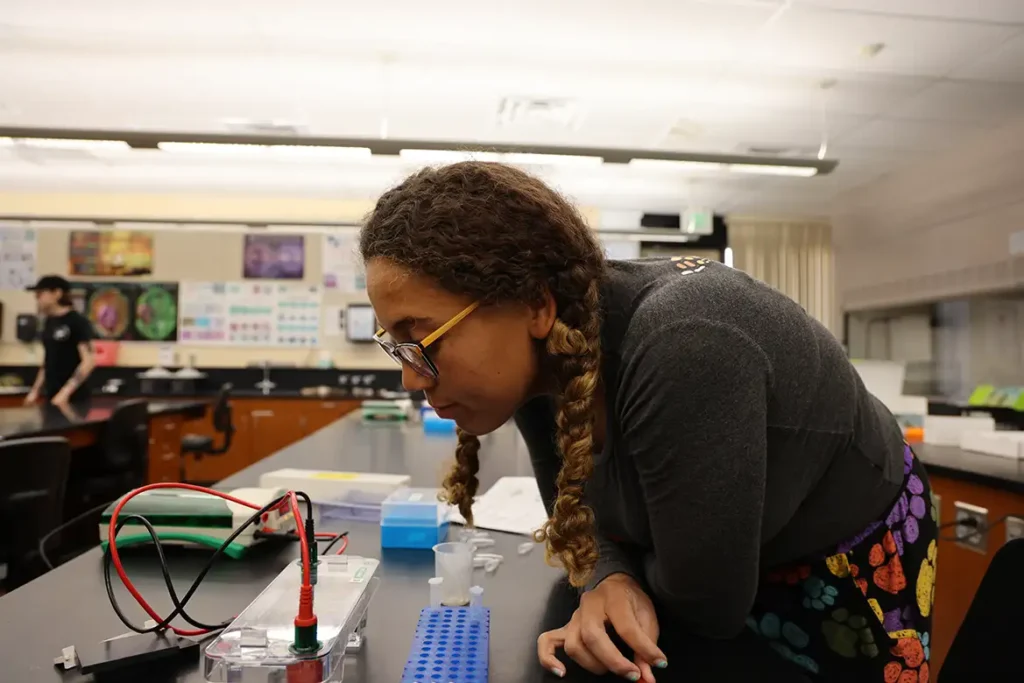 student examining experiment