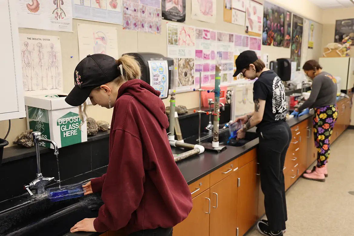 students performing experiment in the lab