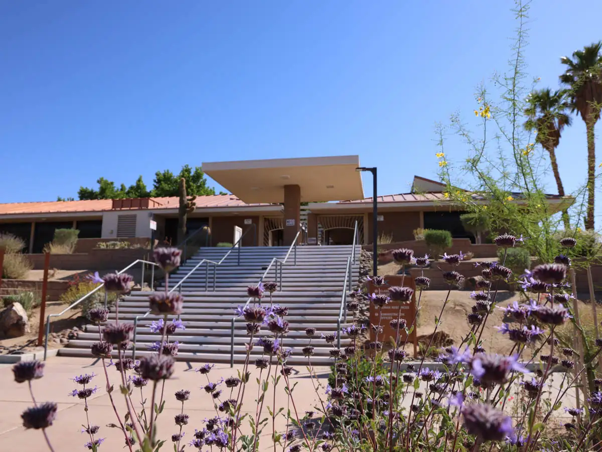 lavender colored flower bush sitting in front of the stairs to the Copper Mountain College entrance