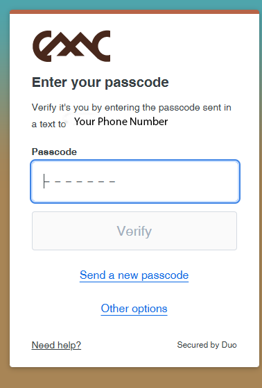 Text or call authentication screen