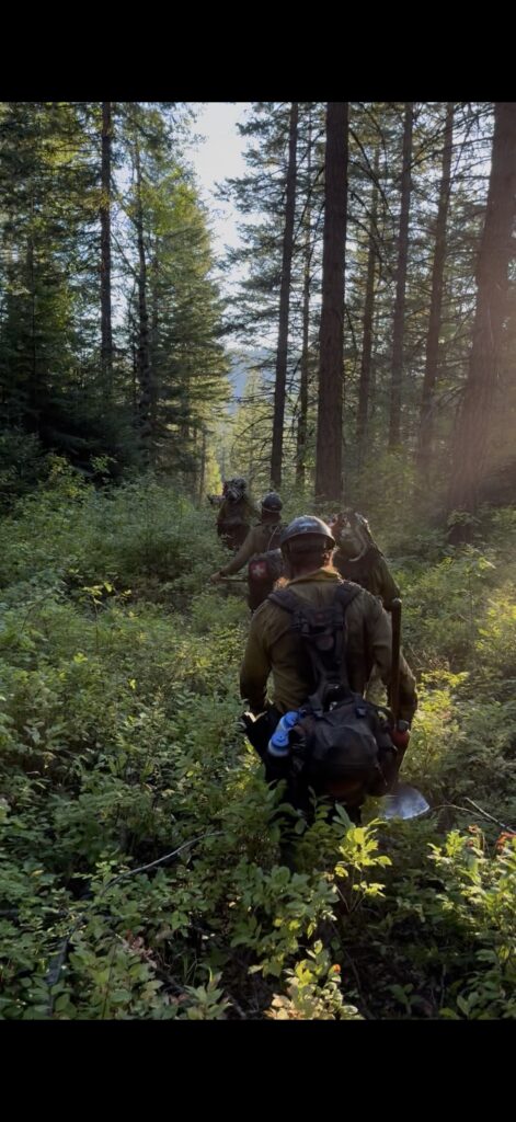 Firefighters walking through the woods of Oregon